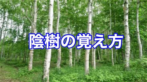 陽樹 陰樹 一覧|陰樹の特徴と陽樹の特徴 違いも解説 – 庭師の独り言